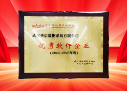 喜讯丨DB真人旗舰 DB数据获评2024~2025年度武汉市软件行业&ldquo;优秀企业&rdquo;、&ldquo;优秀工作者&rdquo;荣誉称号！